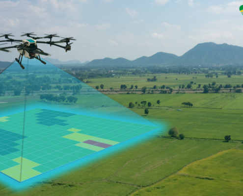 Citra Sensor NDVI