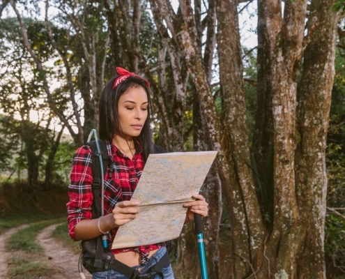 Cara Melihat Peta Kawasan Hutan Mengakses Informasi Hutan Secara Mudah