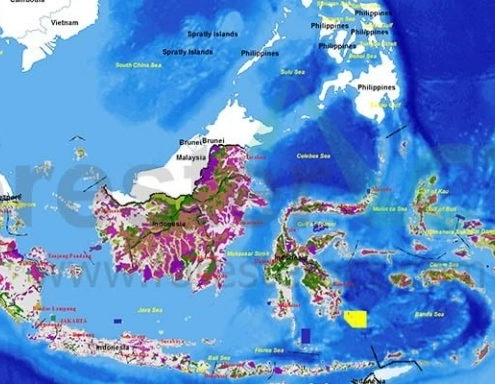 peta-kawasan-hutan-indonesia-visualisasi-lengkap-kawasan-hutan-di-indonesia