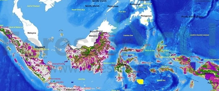 peta-kawasan-hutan-indonesia-visualisasi-lengkap-kawasan-hutan-di-indonesia