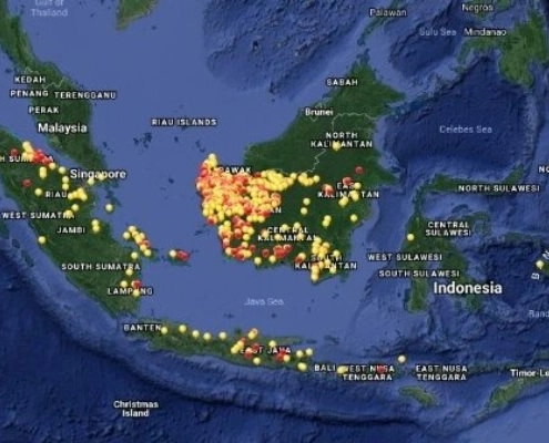 Peta Kawasan Hutan Terbaru Visualisasi Terbaru Kondisi Hutan di Indonesia