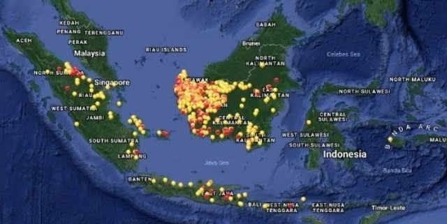 Peta Kawasan Hutan Terbaru Visualisasi Terbaru Kondisi Hutan di Indonesia