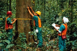 Petunjuk Teknis Tata Batas Kawasan Hutan Panduan Menetapkan Batas Kawasan Hutan