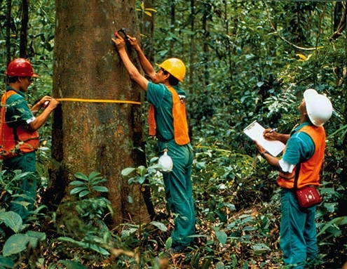 Petunjuk Teknis Tata Batas Kawasan Hutan Panduan Menetapkan Batas Kawasan Hutan