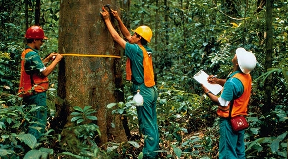 Petunjuk Teknis Tata Batas Kawasan Hutan Panduan Menetapkan Batas Kawasan Hutan