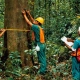 Petunjuk Teknis Tata Batas Kawasan Hutan Panduan Menetapkan Batas Kawasan Hutan