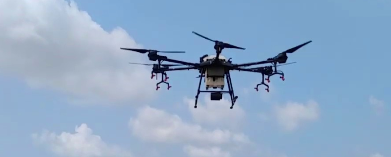 Harga Pemetaan Drone per Hektar