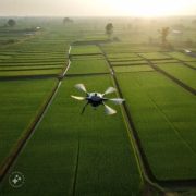 pemanfaatan drone untuk pemetaan sawah