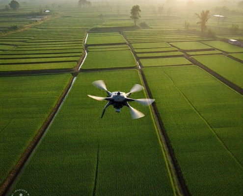 pemanfaatan drone untuk pemetaan sawah