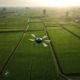 pemanfaatan drone untuk pemetaan sawah