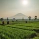 pemetaan lahan sawah sid technogis