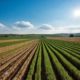 sawah pertanian dan cetak sawah SID